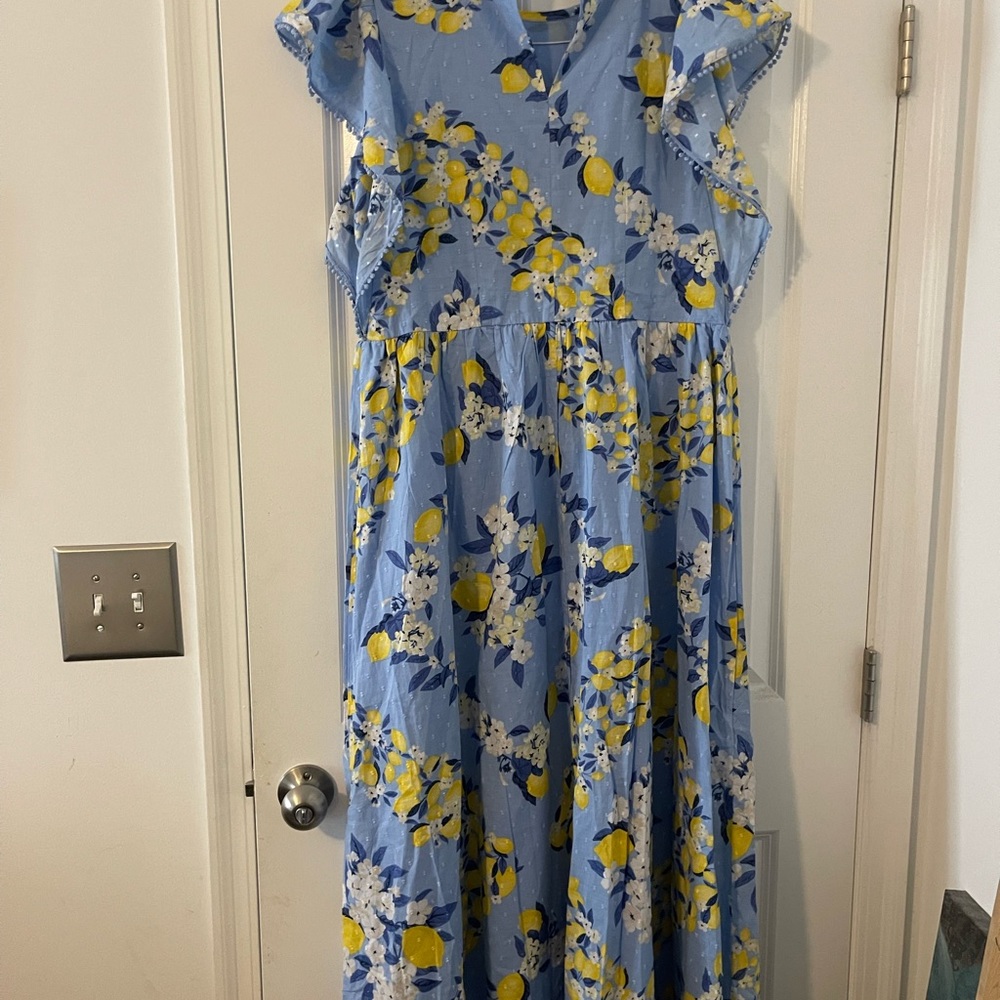 NWT Ann Taylor Lemon Ruffle Sleeve Maxi Dress Small Petite